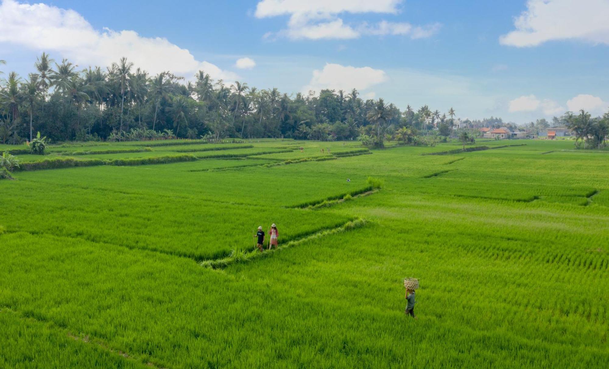 Thewakanda Resort A Pramana Experience Ubud Exterior foto